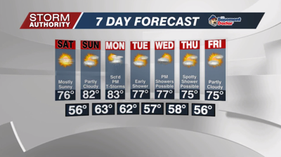 7 Day Forecast