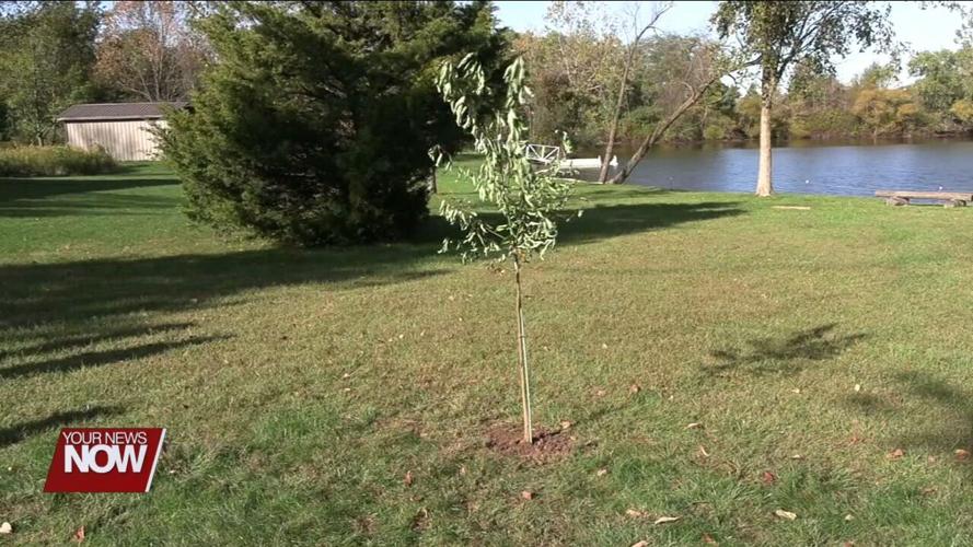 Victims of domestic violence honored with tree planting at Moyer Nature Center