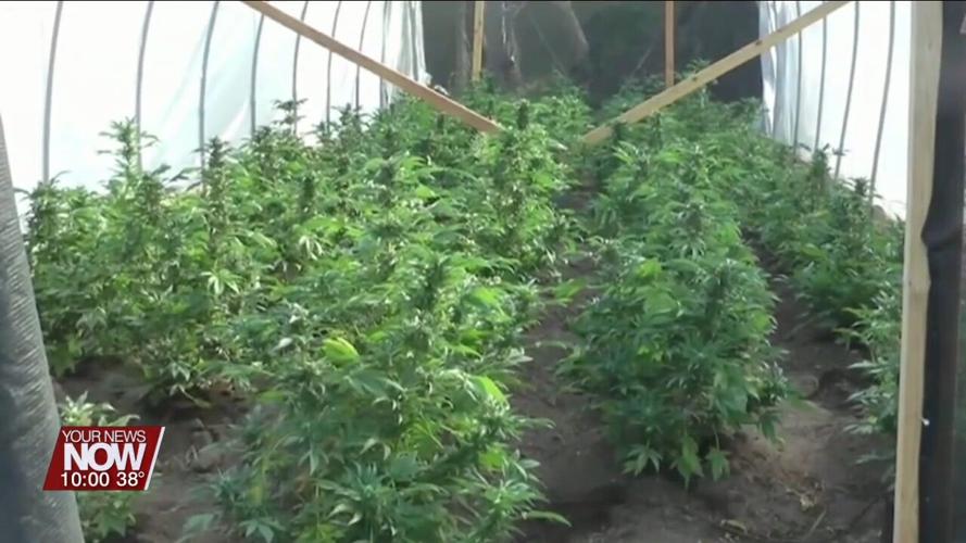 State legislature trying to change tax rate and home growth for marijuana in Ohio