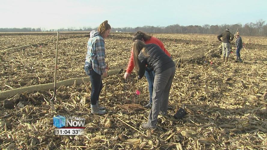 Findlay nature organizations team up for wetland project