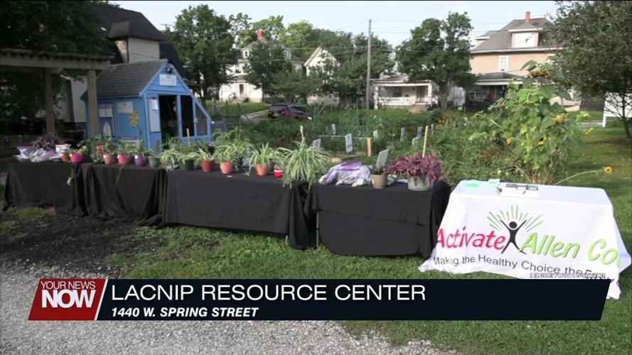 Indoor Plant Swap planned for February 25th