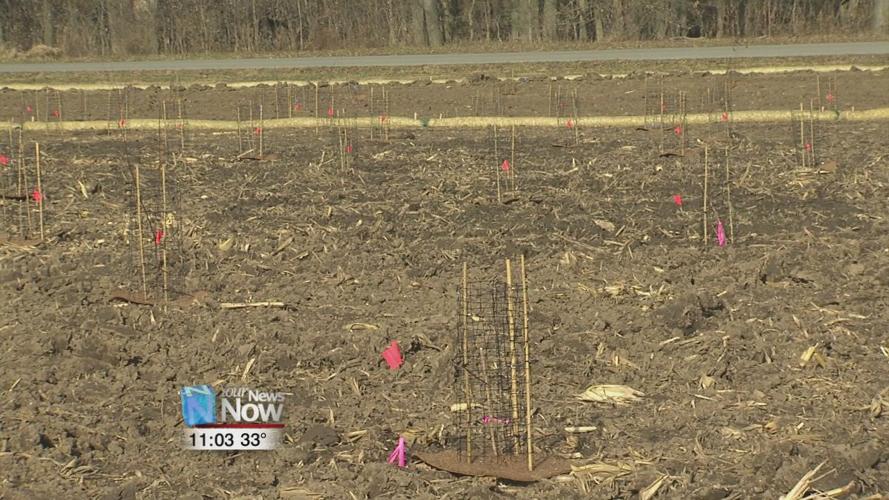 Findlay nature organizations team up for wetland project