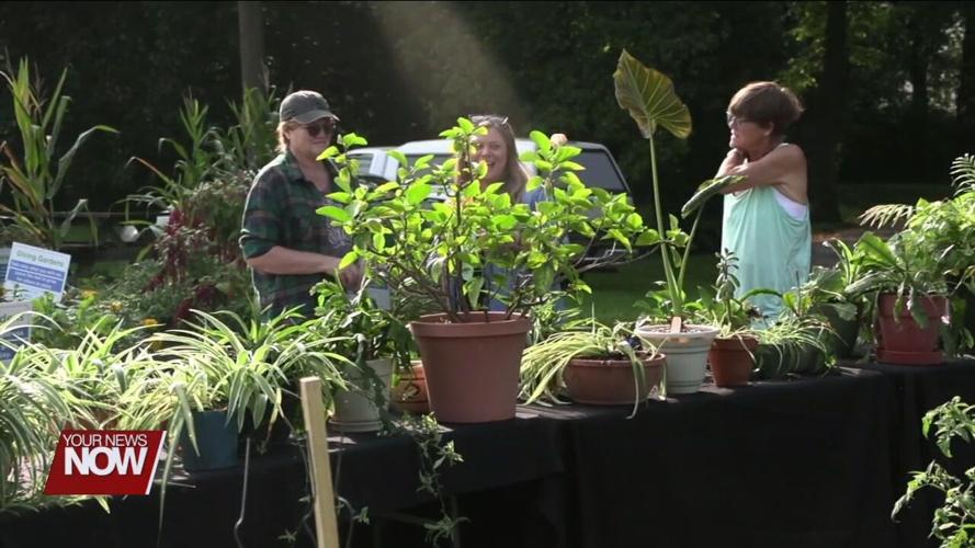 Indoor Plant Swap planned for February 25th