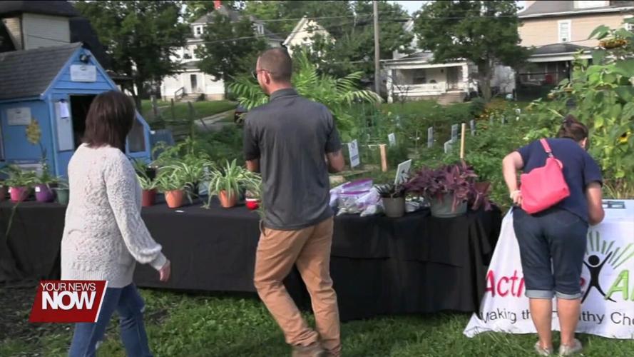 Indoor Plant Swap planned for February 25th