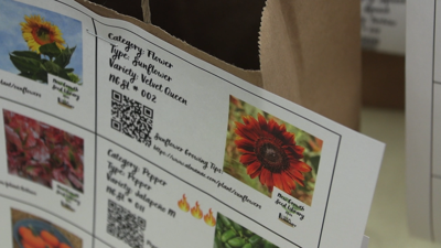 Lima Public Library’s seed library returns as spring fever sets in