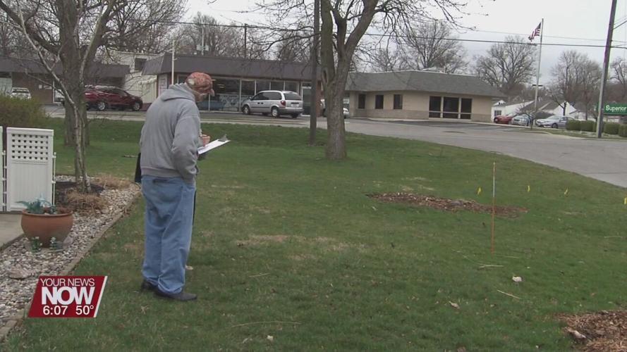 Tree Rebate Program available for homeowners in the City of Lima