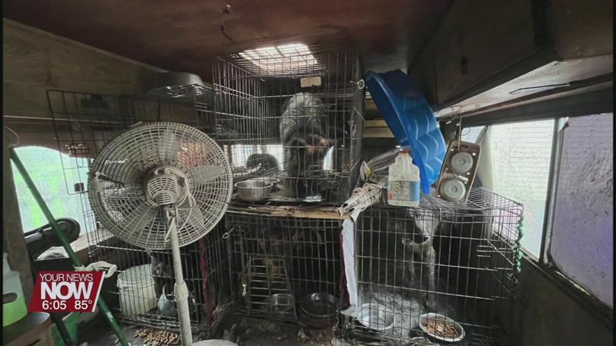 Ohio SPCA removes 22 dogs from a Lima home - Donations are now needed to help with vet bills caring for the animals