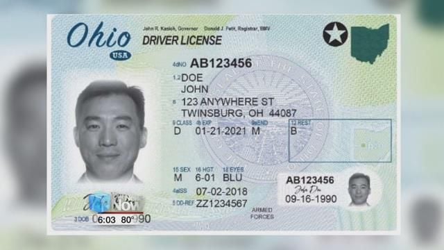 ohio drivers license check