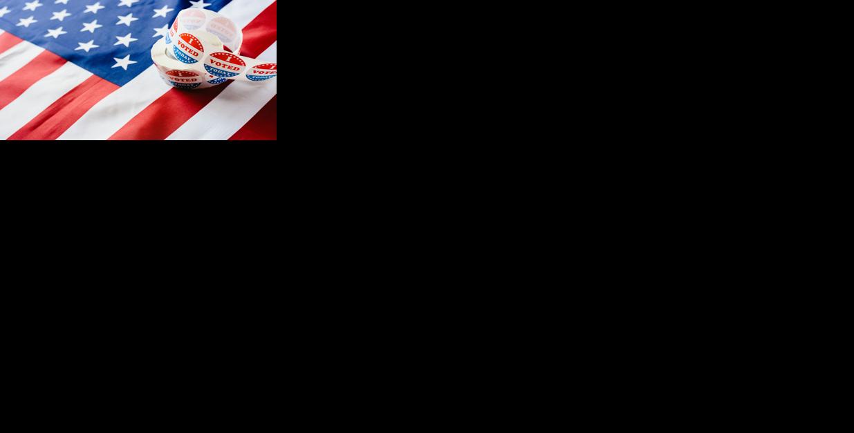 I Voted Elections Generic