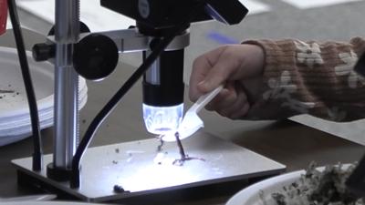 New Lightbulb Lab Series hopes to spark curiosity with hands-on learning for children