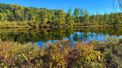 Fall foliage Ohio