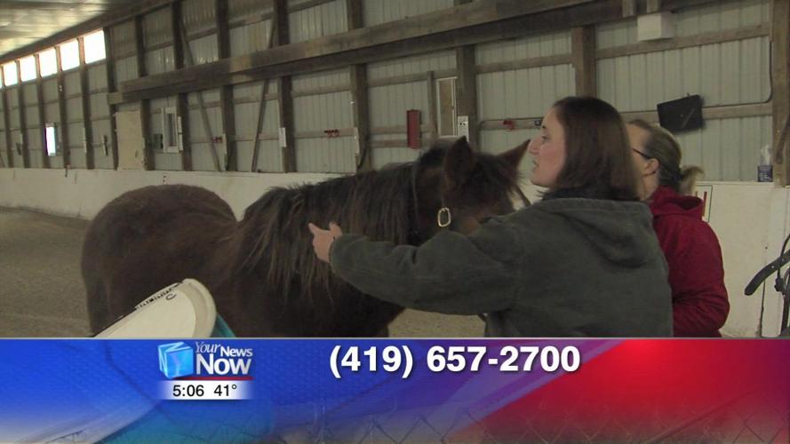 Equestrian Therapy Program speaks at Rotary Club meeting 2.jpg