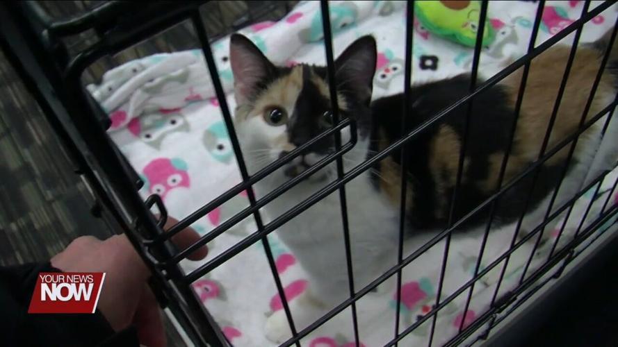 Local non-profit reacts to AmazonSmile program ending