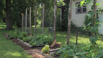 LACNIP opens garden plots, hosts free agricultural seminar in Lima