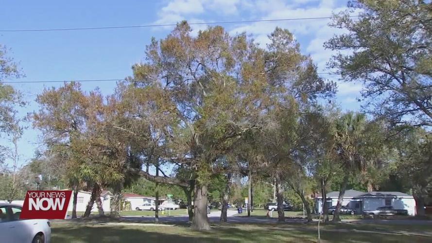 How to deal with seasonal allergies