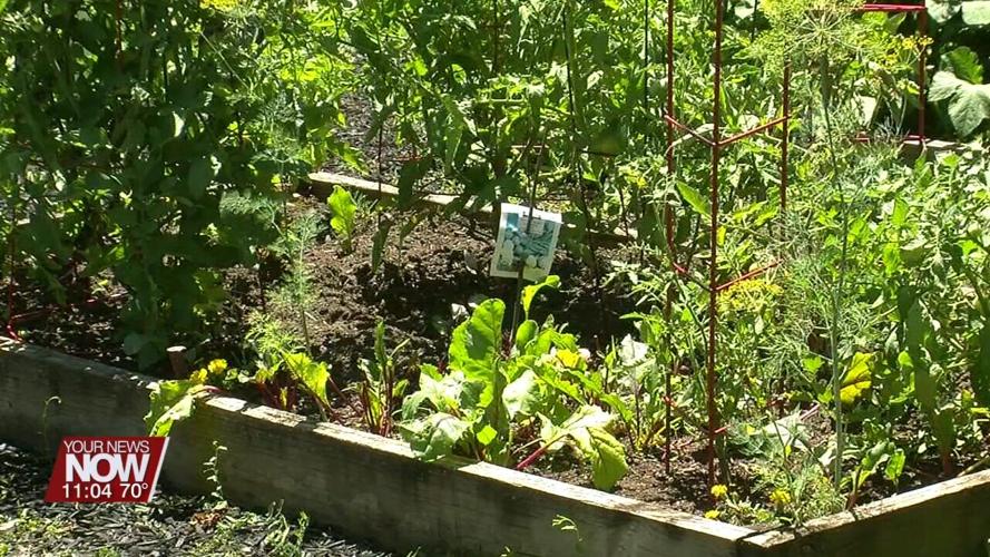 LACNIP holding Open House at Spring St. Community Garden on July 13th