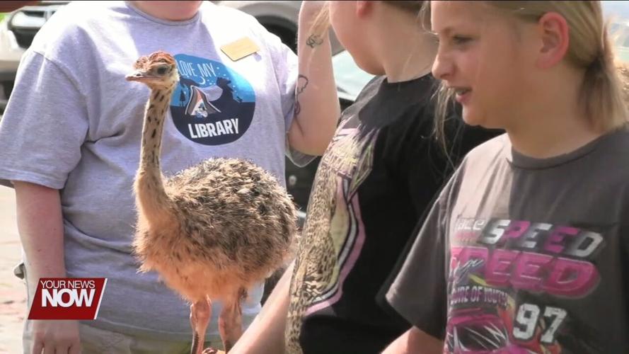 Things are getting wild at the Alger Public Library as exotic zoo kicks off summer reading program