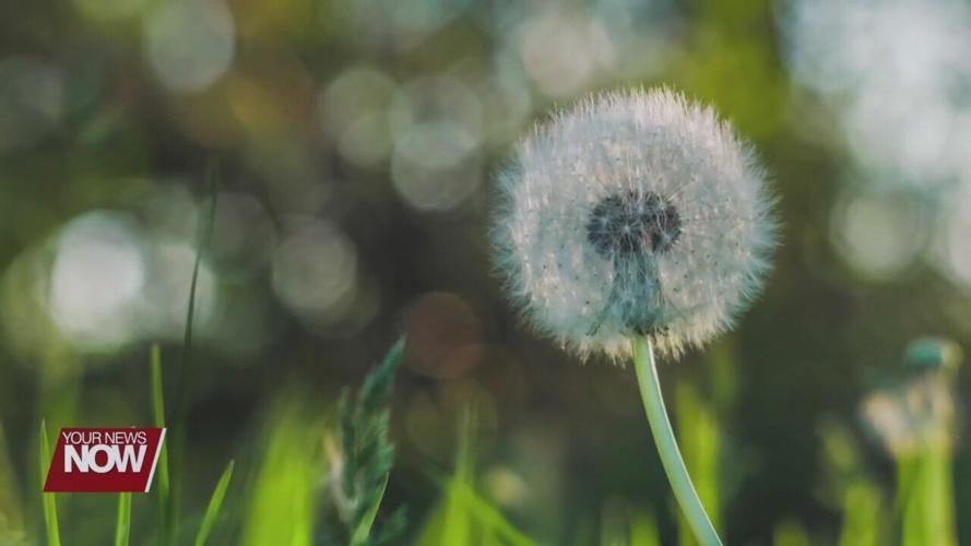 How to deal with seasonal allergies