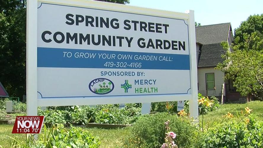 LACNIP holding Open House at Spring St. Community Garden on July 13th