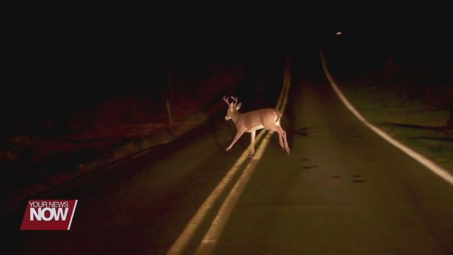Ohio State Highway Patrol offers driving safety tips for fall season