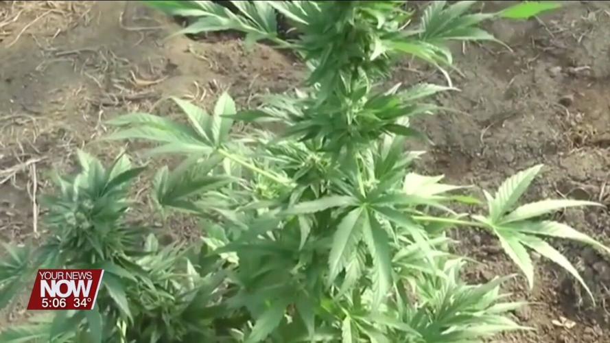 Ohio lawmakers worried about black market marijuana