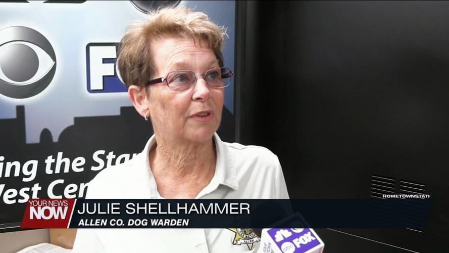 Take extra precautions to protect your pets from fireworks