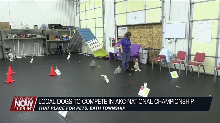 Local dogs and owners heading to compete in national obedience championship