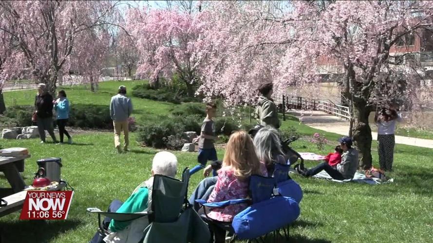 Japanese culture celebrated at Lima Sister Cities' annual Cherry Blossom Festival
