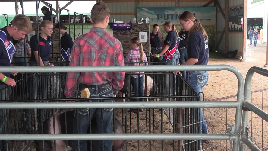 Fair week brings big life lessons for Junior Fair Board teens