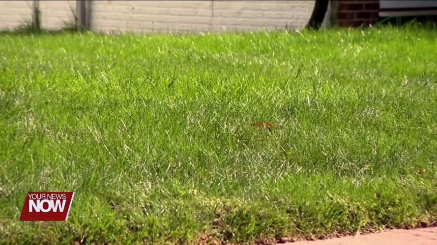 Allen Soil and Water Conservation District advises limited lawn fertilizer