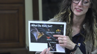Kids learn about bats at Johnny Appleseed park program