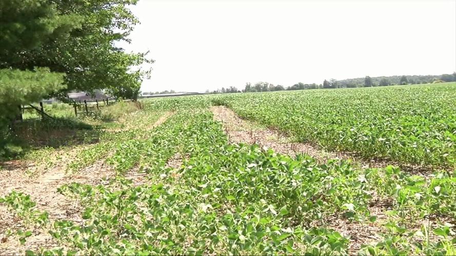 Spencerville to receive funding to help create wetland