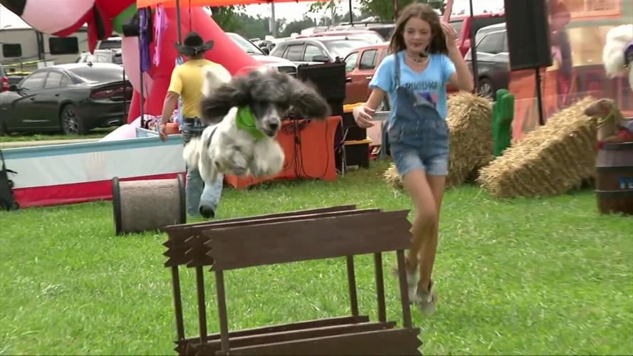 Free entertainment fun galore at the Allen County Fair