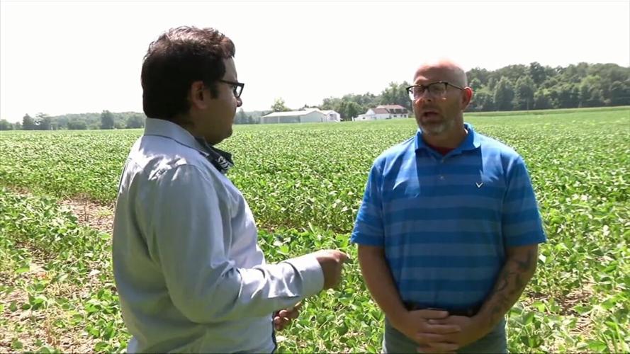 Spencerville to receive funding to help create wetland