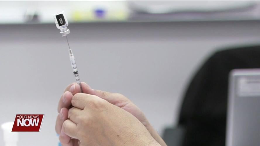 How our Immune System Protects Against Viruses