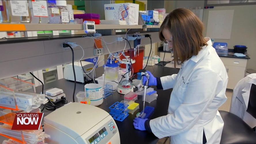 How our Immune System Protects Against Viruses