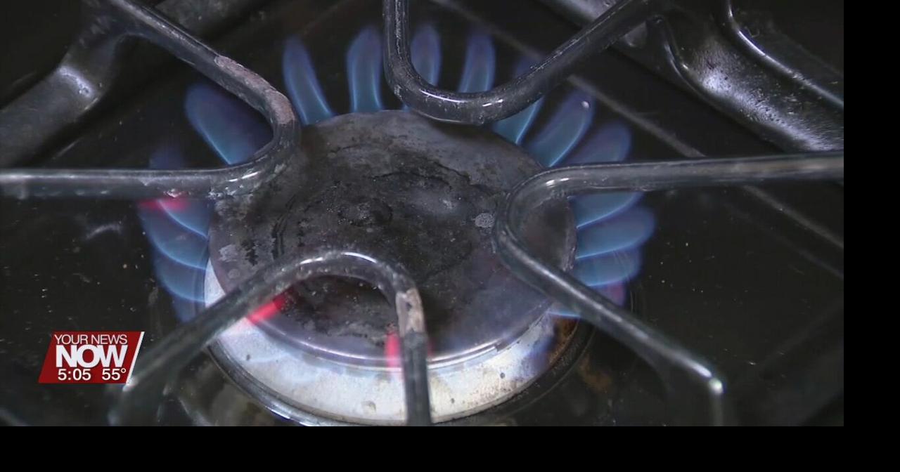 Are gas stoves at risk of being banned? News