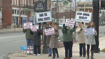 Animal abuse protest in front of Lima Municipal Court