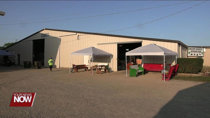 4-H Spotlight: Dedication and early mornings are key in the Allen County Fair's Horse Barn