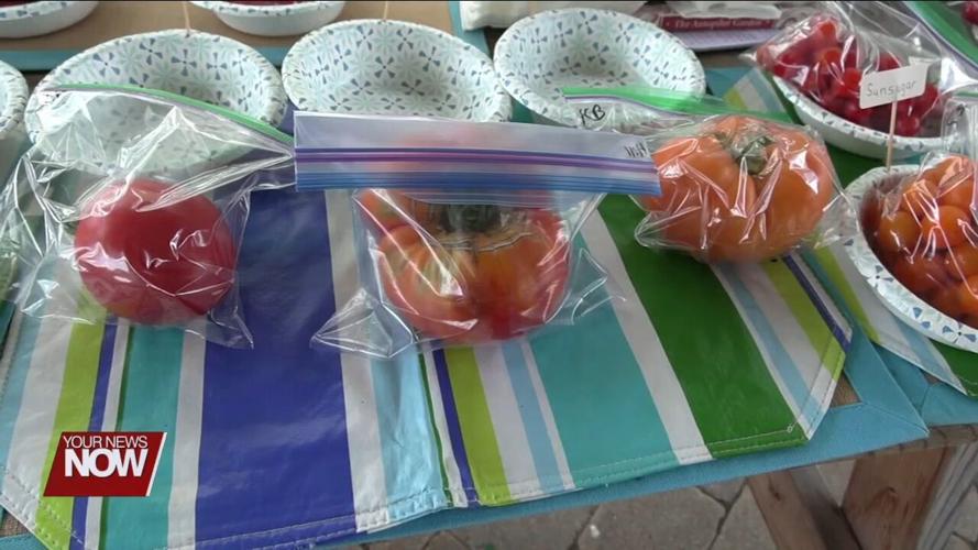 Allen County Master Gardeners talk tomatoes at Brown Bag Lunch Series