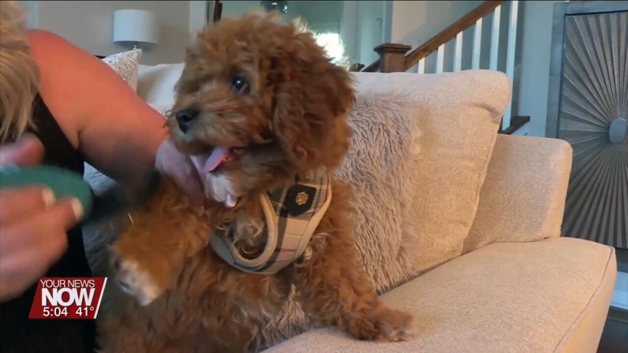 Veterinarian talks about how your pets may react to solar eclipse