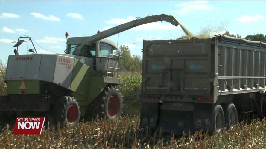 Farmers enjoy a dry harvest season
