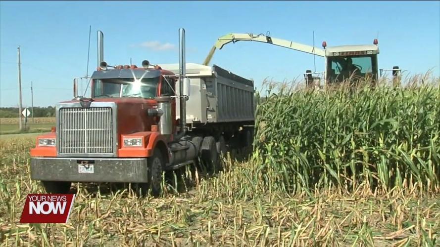 Farmers enjoy a dry harvest season