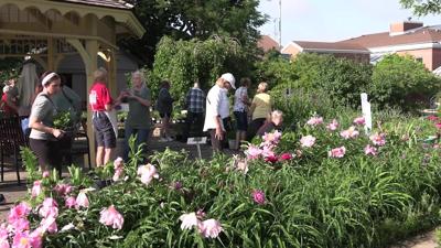 Master Gardeners Invite Community to Annual Flower and Plant Sale