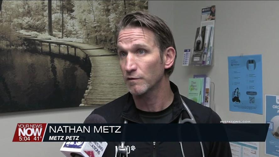 Veterinarian talks about how your pets may react to solar eclipse