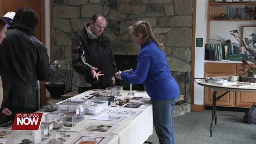 Hancock Park District celebrates Old Rock Day with public fossil exhibit