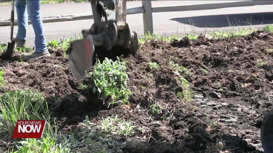 Apollo Career Center students provide a helping hand at the Children's Garden