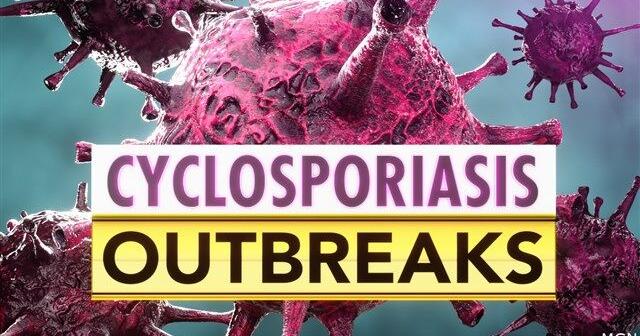 Taco Bell removes lettuce as FDA investigates possible parasite outbreak linked to supplier Jul 17, 2026 9 mins ago