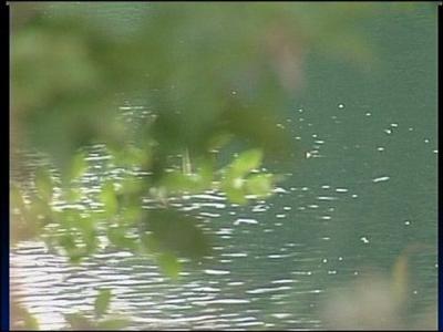 Diver dies after being found at Gilboa Quarry