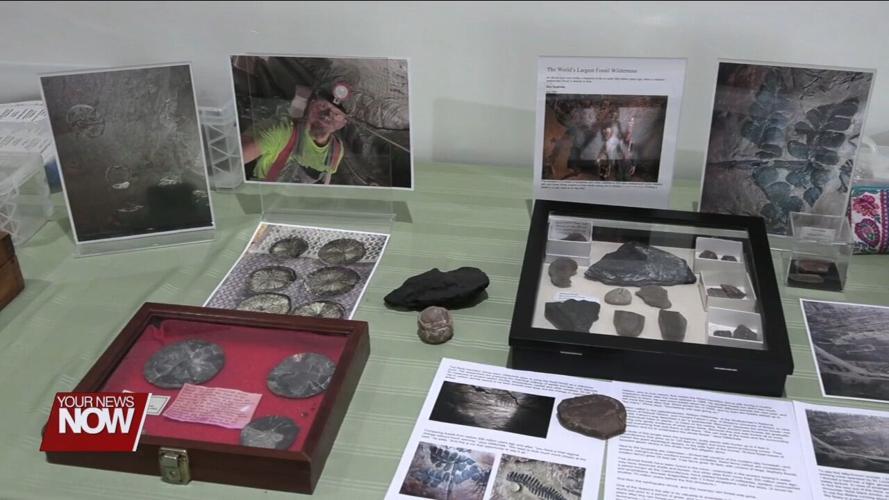Hancock Park District celebrates Old Rock Day with public fossil exhibit